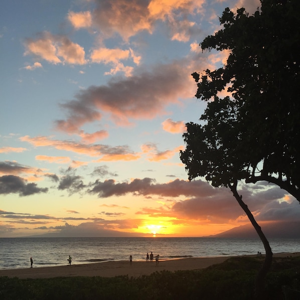 Sunset at Kamaole Beach Park II, just a 2 minute walk from condo