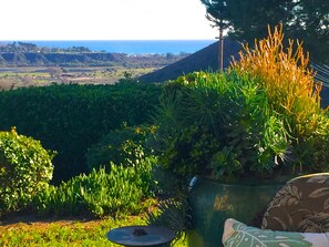 South view from Patio to open land