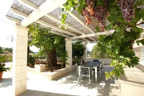 Tempting: the ripe grapes above your terrace in late summer.