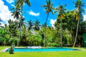 Relax in the pool surrounded by palm trees bordering the cinnamon plantation