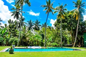 Relax in the pool surrounded by palm trees bordering the cinnamon plantation