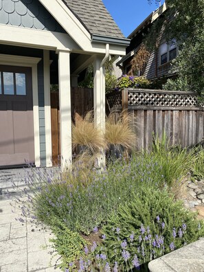 Herb garden with Lavender