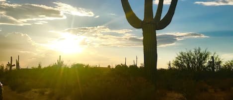 Desert Sunset on Oberlin Way