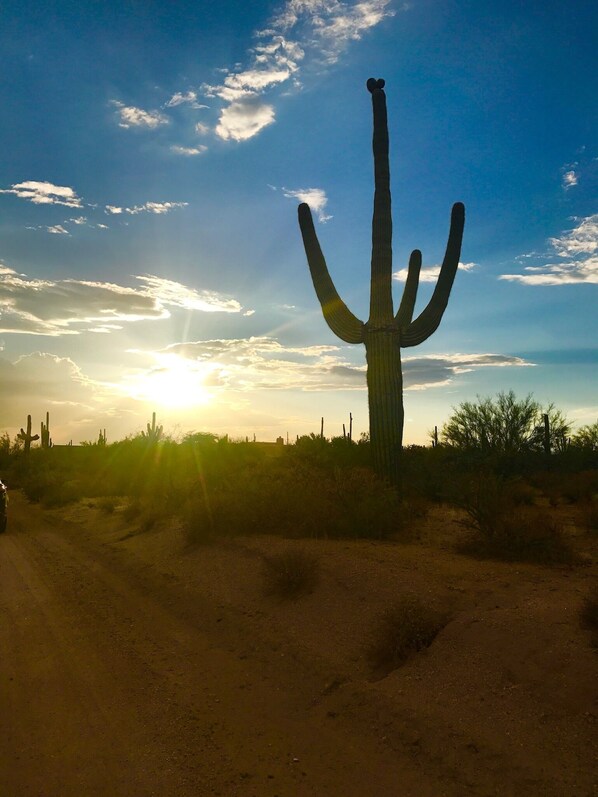 Desert Sunset on Oberlin Way