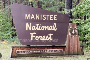 Discover the Manistee National Forest