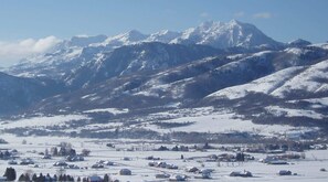 Winter View