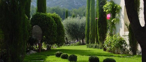 View towards the Alpilles hills at the end of the garden