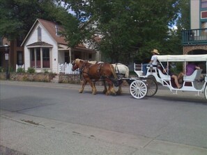Horse & Carriage pass house daily

