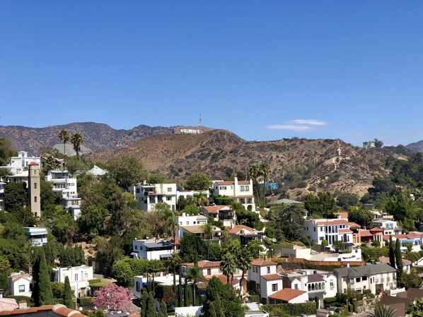 Living Room View