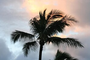 View from Lanai