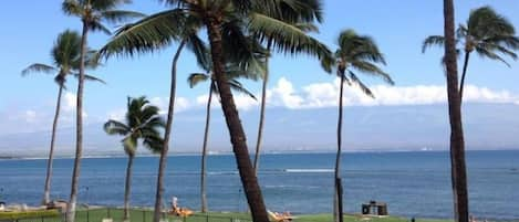 View from Lanai