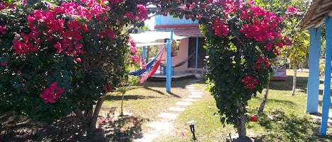 Entrada da casa com Arco de Bouganvilles , redário e deck de madeira