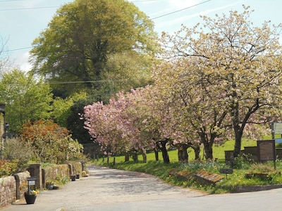 Charming cottage in Area of Outstanding Beauty