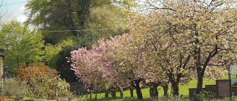 Bewerley with children's play area...