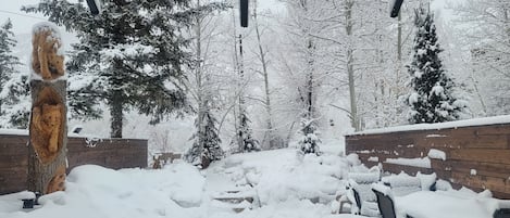 Backyard  Winter