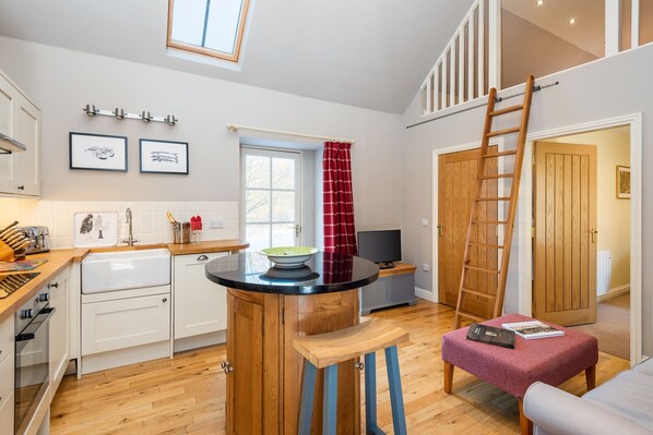 Living/kitchen area showing ladder to loft 