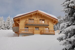 Exteriör