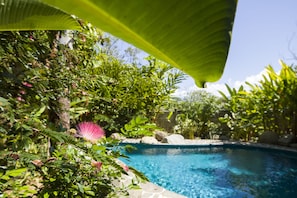 Relax and refresh in your private oasis with pool and walled gardens.