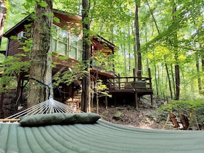 Rear view of the Eagle from behind our new double-wide hammock