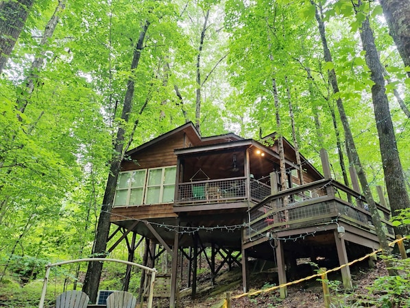 Welcome to the Eagle Treehouse