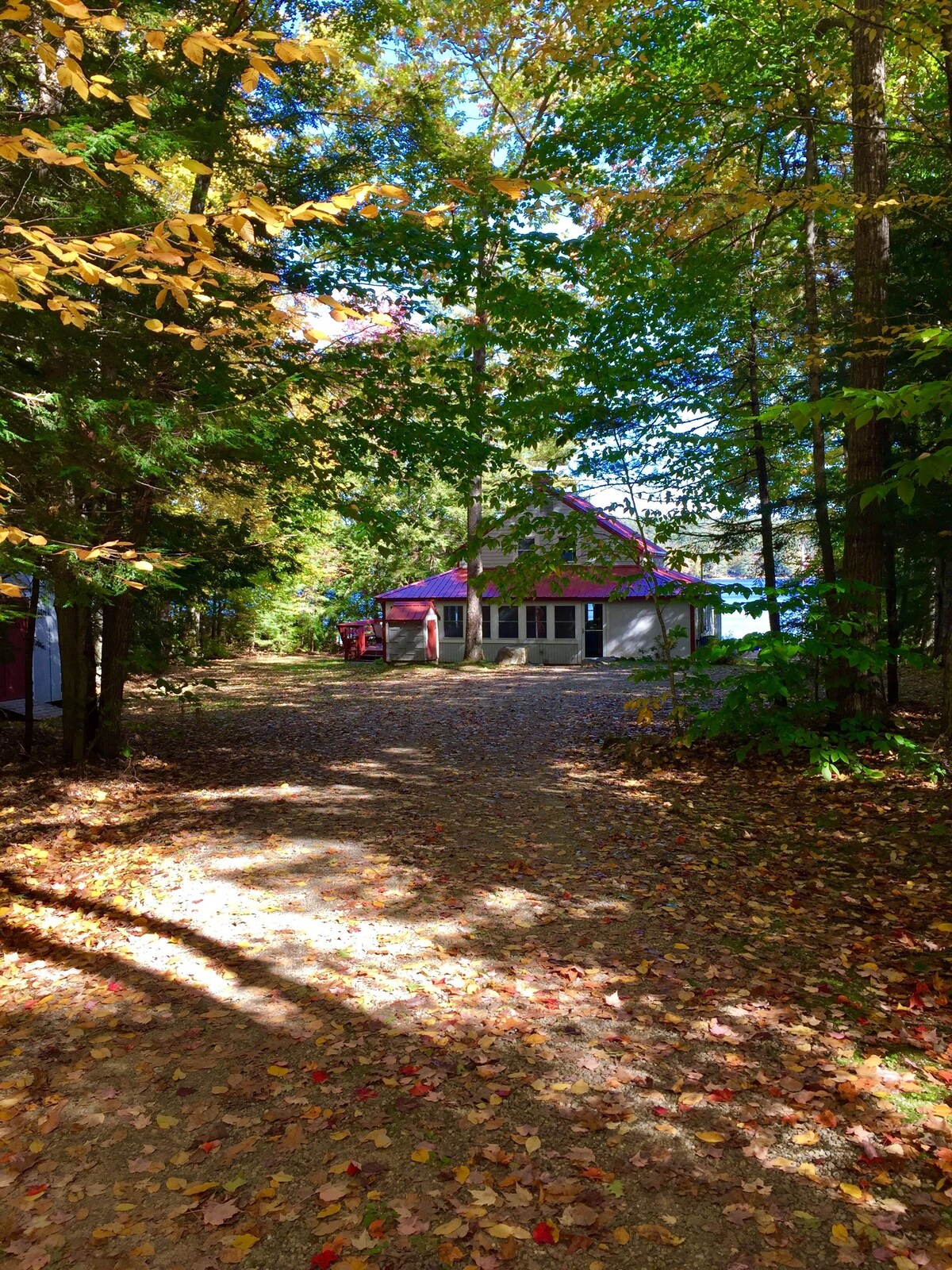Main Image