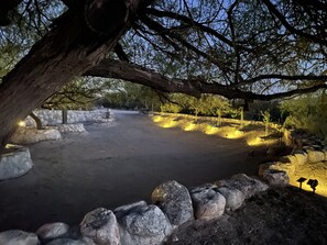An evening walk among the grapevines and mesquite trees