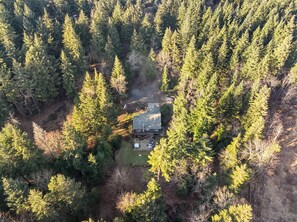 2.5 acres of forested beauty!
