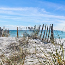 Beach/Dunes