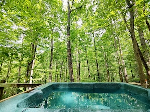 View from the tub