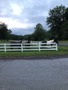 Mountain Views, Fire Pit,  Minutes From Downtown Asheville