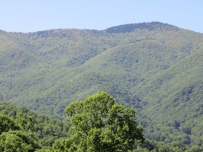 Mountain Views, Fire Pit,  Minutes From Downtown Asheville