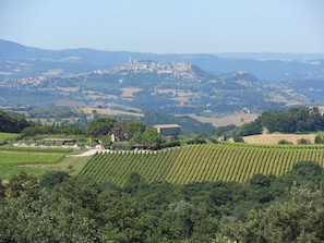 The view of Todi from Sant'Antimo