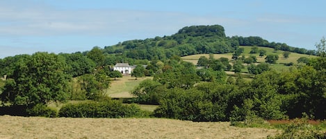 Woodhayes Farm in July 2015, Location of Orchard Barn.