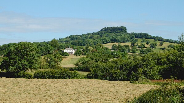 Woodhayes Farm in July 2015, Location of Orchard Barn.