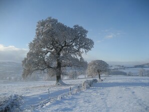 Wintersport/Ski