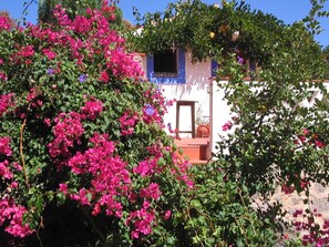 Roof terrace