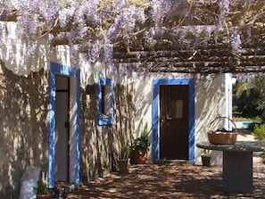 The terrace in Spring