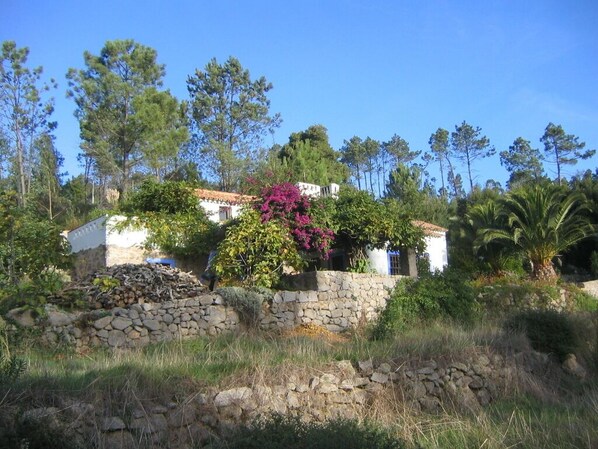 Quinta da Relva in early morning sun 
