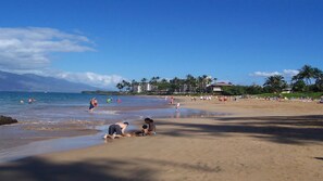 Kamaole II Beach right across the street
