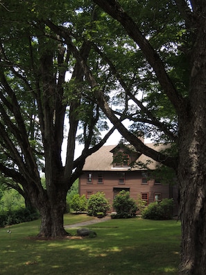 View of the homestead from the driveway