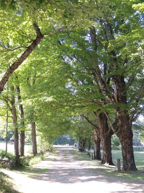 Private driveway to home