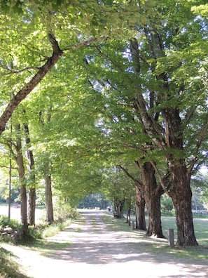 Private driveway to home