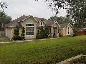 Horse view from the driveway 