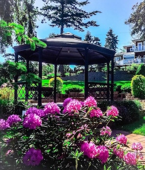 AMAZING VIEW OF THIS PROPERTY FROM LOWER POSITION IN THE YARD 