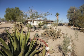 Native cacti and mature trees surround the house