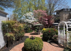 Back yard looking from the house