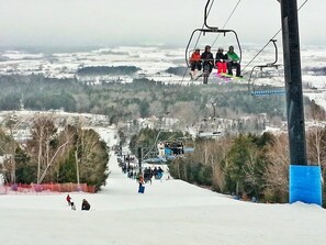 Only 20 minutes to Ski Martock!