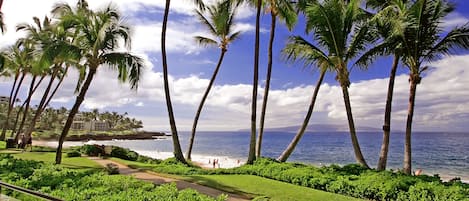 Beachfront sidewalks 