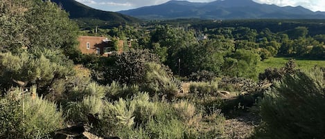 Close to town and a world apart overlooking Ranchos Valley