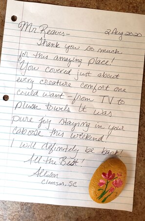 Guest review with little painted rock!
